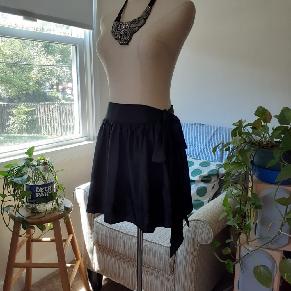 EXPRESS Silk Skirt